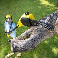 Best Aeration Services  in Oak Harbor, WA